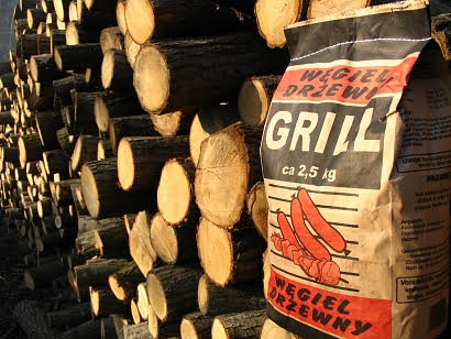 Our charcoal product next to a pile of logs