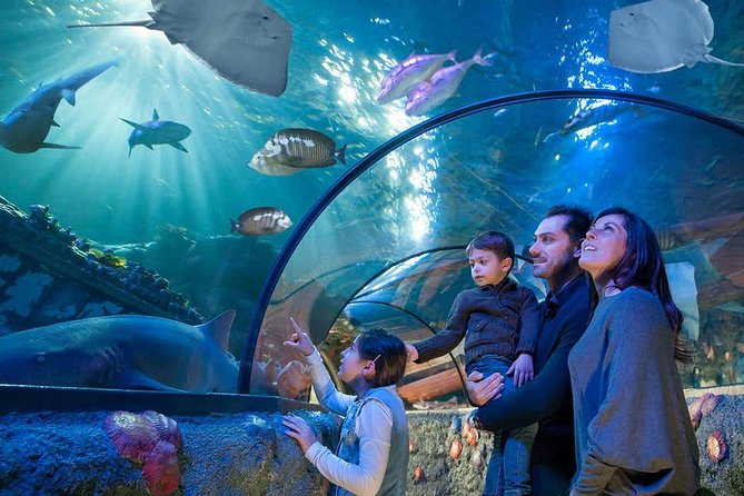 Family looking up at Aquarium